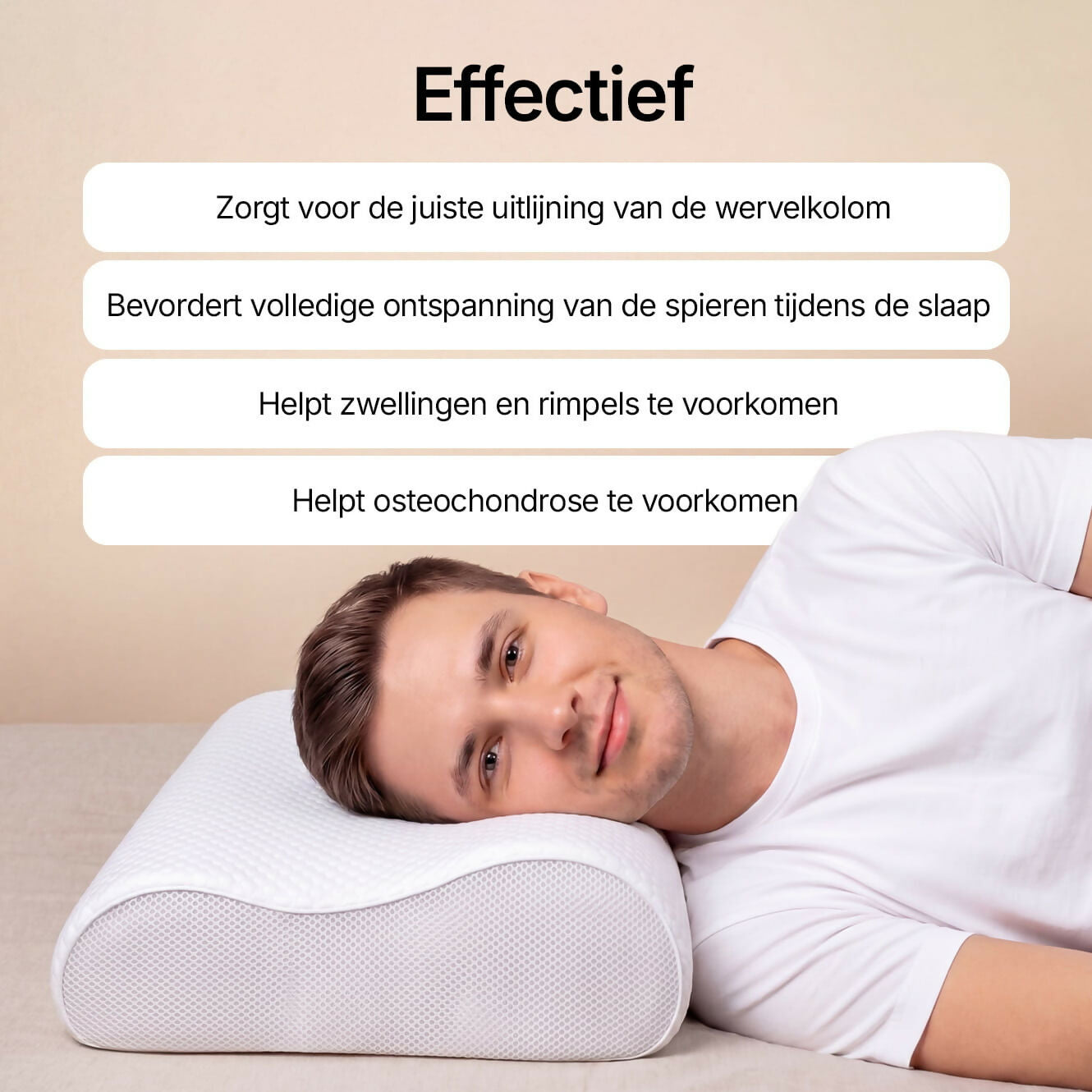 Oryzom DreamHaven Comfortkussen
